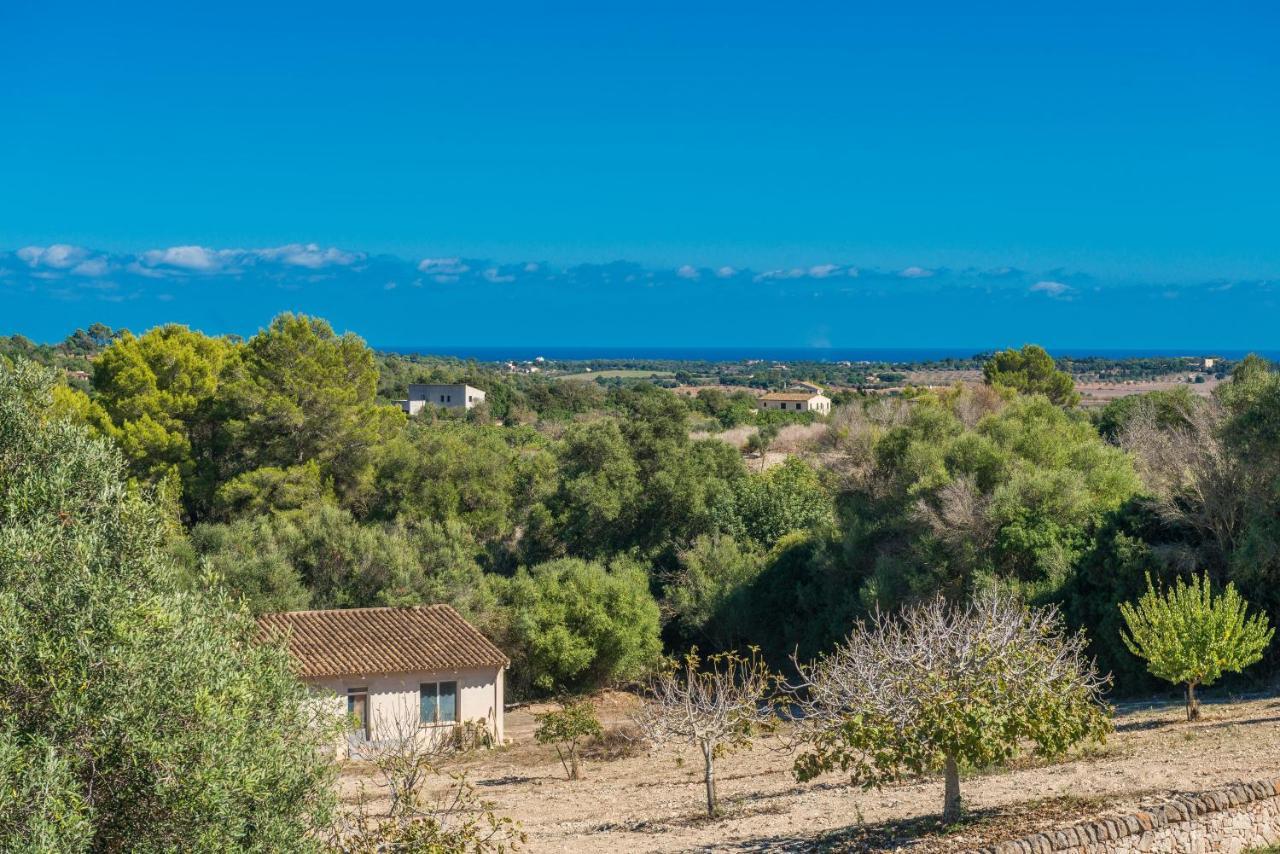 Finca Son Colom Manacor  Eksteriør billede
